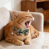 Cwyza 4 Pack Cat Bow Tie Collars with Bell, Adjustable