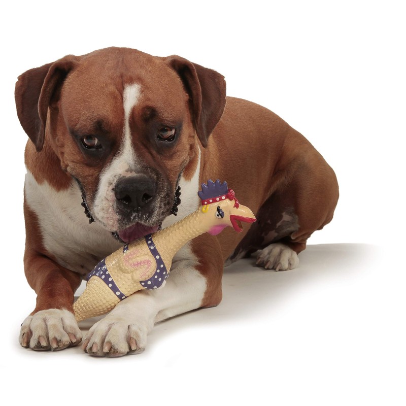 Charming Pet Squawkers Henrietta Latex Rubber Chicken Interactive Dog Toy,