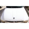 Blackfire Iron Remover | High-Strength Contaminant Cleaner for Paint and