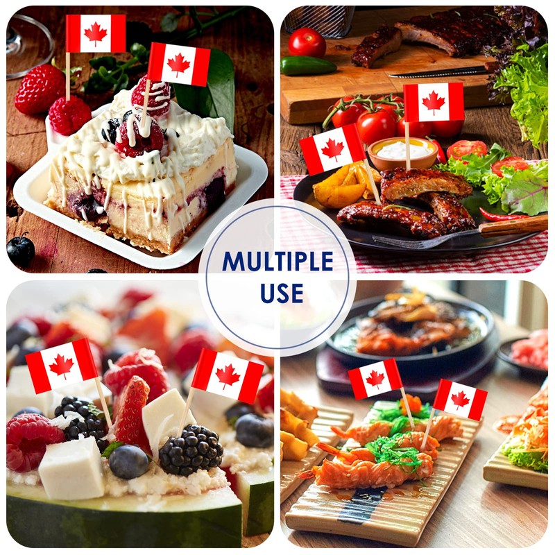 AhfuLife Different Countries Toothpick Flag, 200 Pcs Mini Flags on