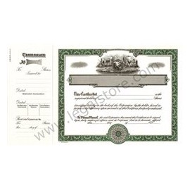 Goes Global, Shares Text Stock Certificates, Green, 100 per package