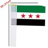 Syrian revolution Handheld Small Flag Set,10 PCS 5×8 Inch Mini