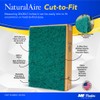 The Flanders Natural Aire filter, Fits up to 20 X