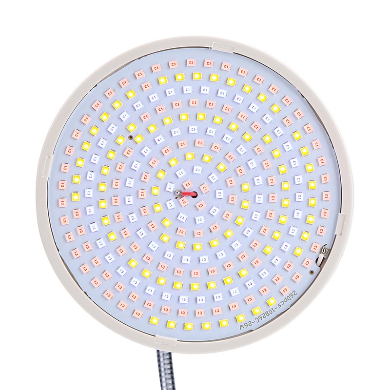 3 Colors LED Skin Rejuvenation Light Professional Acne Wrinkle Removal