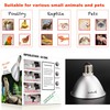 Heat Lamp for Chickens Coop Tiny Chick Brooder, Infrared Flood