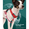 FAYOGOO Dog Harness, No-Pull Pet Harness Set for Small Medium