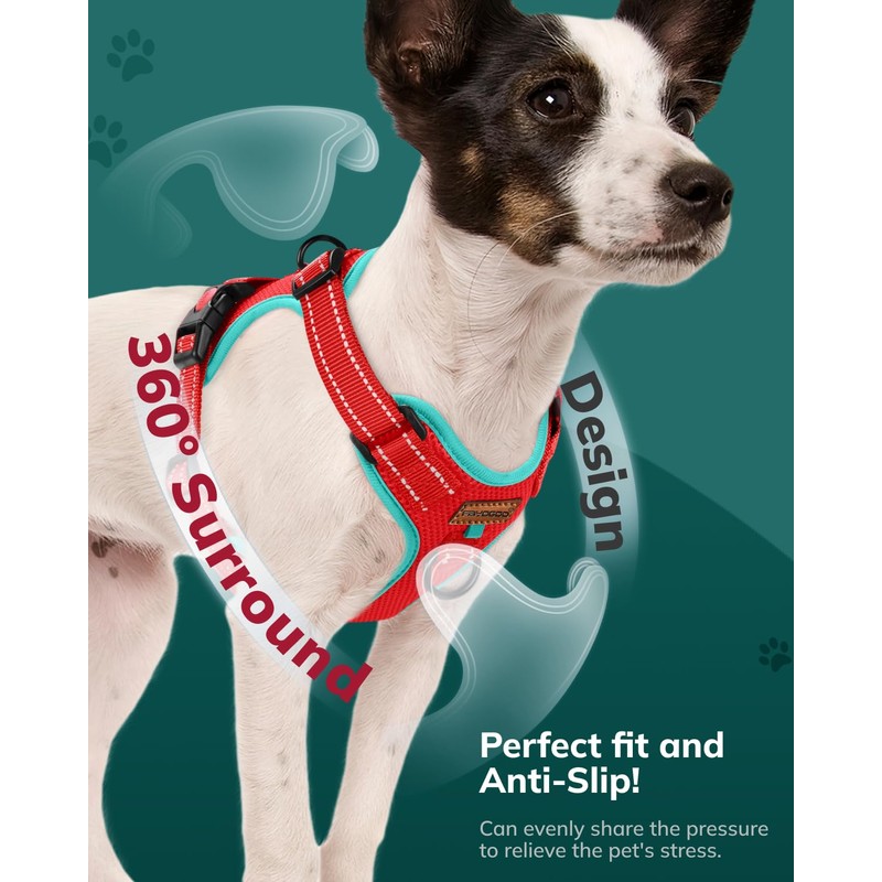 FAYOGOO Dog Harness, No-Pull Pet Harness Set for Small Medium