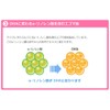 ICREO Balance Milk Stick