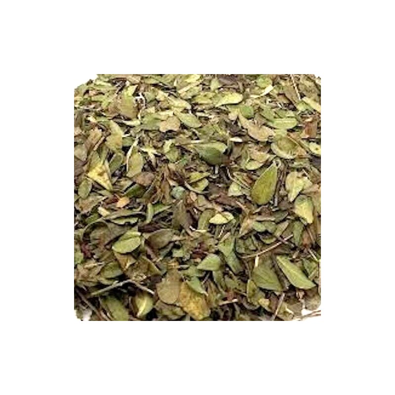 100% Pure Uva Ursi Leaf (Arctostaphylo - 0.5 oz