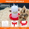 ZenxyHoC Chick Feeder and Waterer Set, 0.3 Gal Feeder and