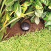 Key Hider Hide Sprinkler Head Safety Disguise Spare Hiding Storage