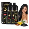Shampoo Tinte Para Cubre Canas Rapido 2pcs Mujer Y Hombre