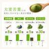 ミッシーリスト 美力青汁 4g×30包 青汁 国産 無添加 粉末 大麦若葉 乳酸菌 菌活