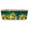 chic.mic Bioloco Plant Lunch Box Oval (Lemons)