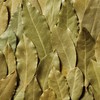 McCormick Bay Leaves, 0.12 oz