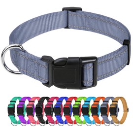 TagME Reflective Nylon Dog Collars, Adjustable Classic Dog Collar with Quick Release Buckle for Medium Dogs, Grey, 1.0" Width
