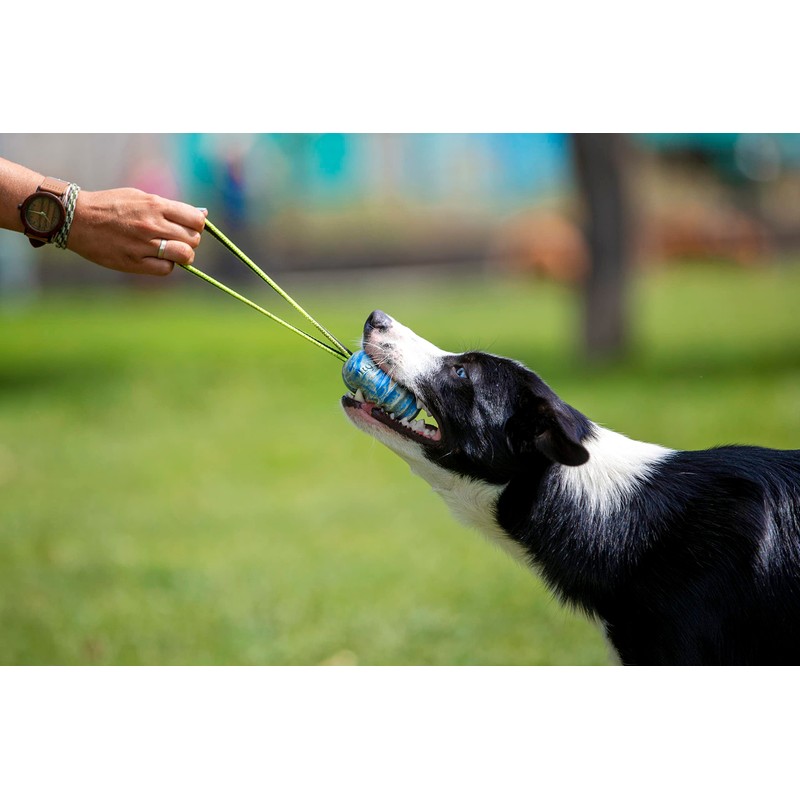 JK9 Duoplay Antibacterial Ball, Large