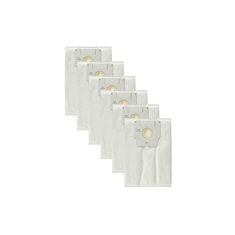 6-Pack Premium Type H Bags for Simplicity, Riccar, The Bank