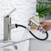 HANLIAN Single Hole Bathroom Pull Out Faucet with Rotating Spout,