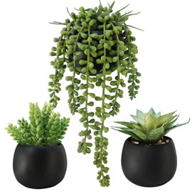 Winlyn Set of 3 Artificial Succulents Plants in Black Cement Planters Faux Potted Plants Aloe String of Pearls Donkey Tail Small House Plants 5" Tall for Table Shelf Home Office Bathroom Living Room