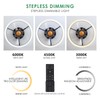 Mpayel Ceiling Fans with Lights and Remote - Flush Mount