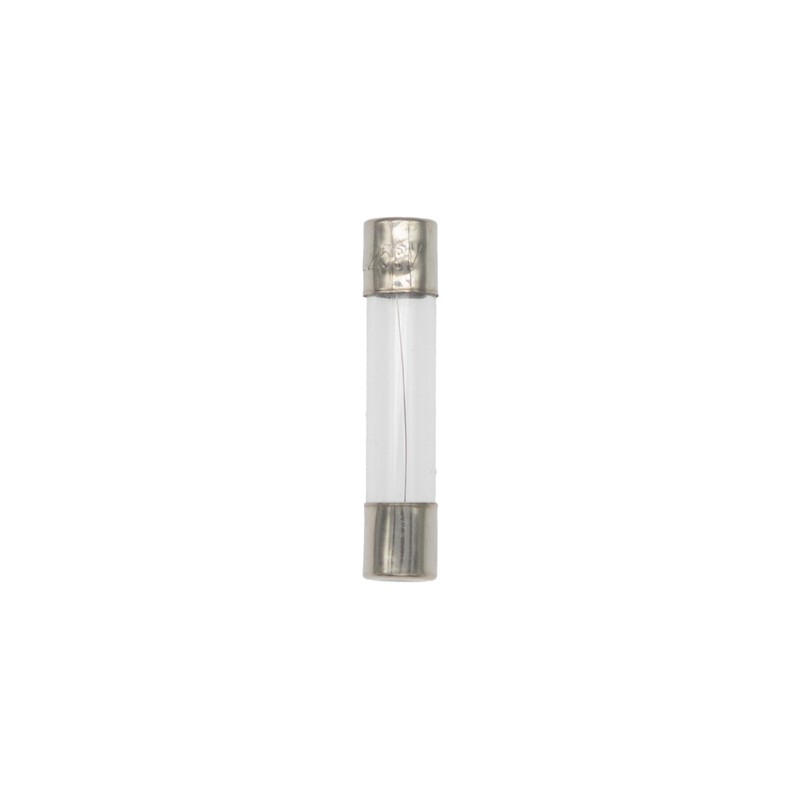 6X30mm Glass Fast-Blow Fuse Tube 0.25A 250V - 30-Pack Electrical