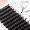 NATUHANA Eyelash Extensions 0.07 C Curl 9-15mm WW Shaped Clover