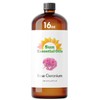 Sun Essential Oils - Rose Geranium Essential Oil 16oz for