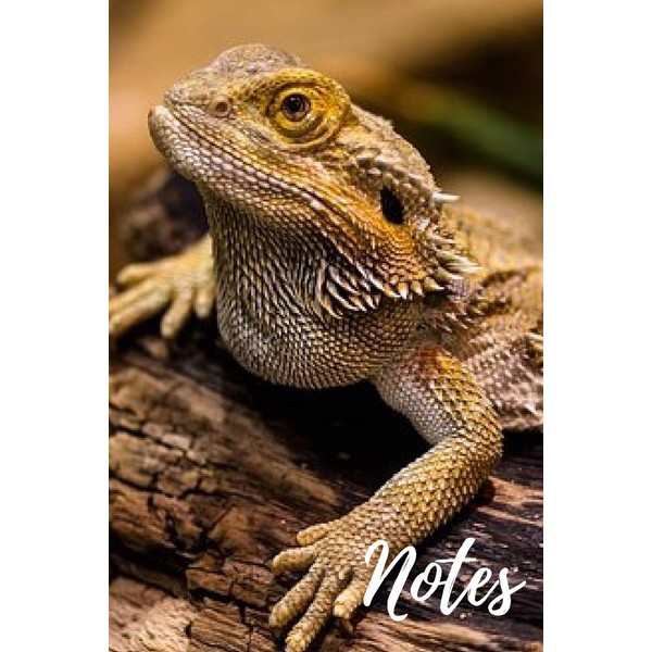 Bearded Dragon Notebook: unique bearded dragons gift for animal and