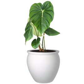 Elly Décor 17-inch Round Fiberstone Planter, Conic Design, with Lip Lightweight, Durable Garden Pot, Indoors and Outdoors 15"x17" White