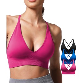 V Neck Adjustable Spaghetti Straps Sports Bras for Women, Padded Criss Cross Back Longline Yoga Workout Crop Top 3 Pack