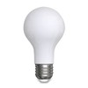 GE 31186 LED Classic Daylight A21 Light Bulb, 13 W,
