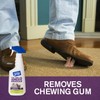 Lift Off 99614 DIY Make-Over Kit Includes Latex Paint Remover,
