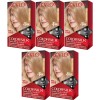Revlon ColorSilk Hair Color 70 Medium Ash Blonde 1 Each