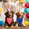 Raisingwell Birthday Dog Bandanas 2 Pack, 4 Pattern Reversible, Blue