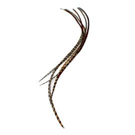 Auburn Naturals 5 Real Feather Hair Extensions 22-28cm with Rings/Loops