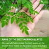 TOG999, Premium 8oz Moringa Leaf Powder, 100% Natural and Pure
