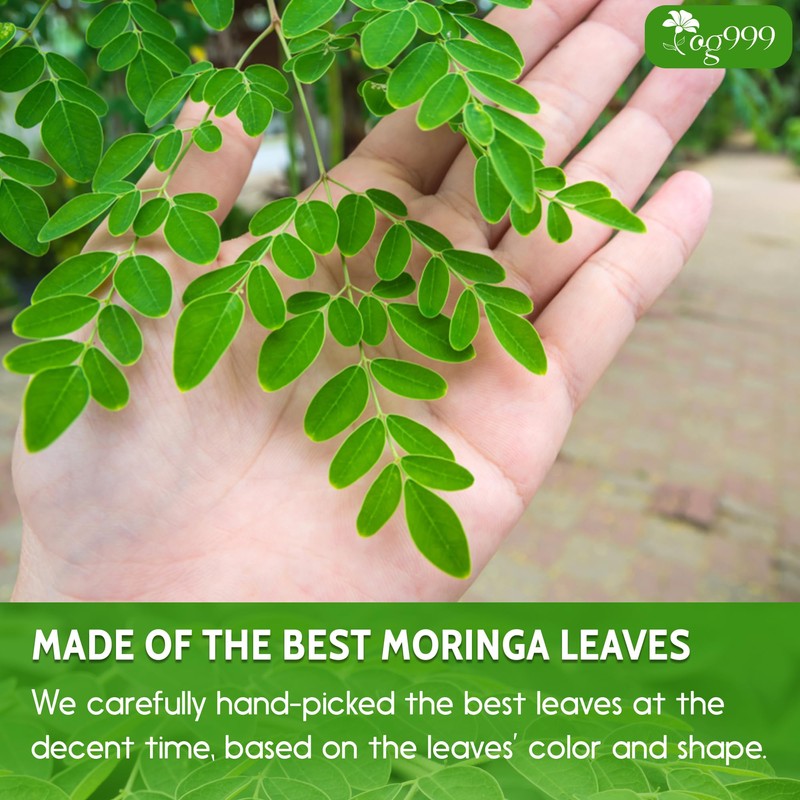 TOG999, Premium 8oz Moringa Leaf Powder, 100% Natural and Pure