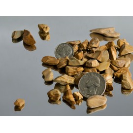 Decorative Wood Brown Gravel,Nature Pebbles for Reptile Terrarium Landscaping,Turtle Tank Landscaping,Garden Decor,Fish Tank,Aquarium Landscaping (Wood Brown 2LB, Small)