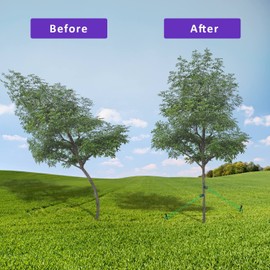 15.8-Inch Extra-Long Heavy Duty Steel Tree Stake Kits,Tree Staking and Support Kits for Young Tree Against Bad Weather,Include 3 PCS 15.8" Tree Straps, 3 PCS 15.8" Tree Stakes and 31.2 FT Rope