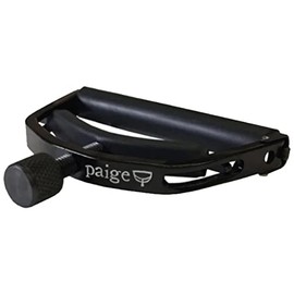 Paige Acoustic Guitar Bridge Pins (P6E)