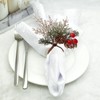 Generic Christmas Cedar Red Fruit Napkin Rings Natural Pine Needle
