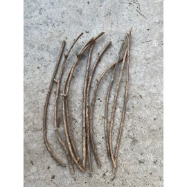 Goji 10 Goji Berry Fresh Cutting 6” Each Stick Ready To Plant No Root