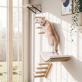 Cat Wall Stairs and Wall Shelves, 4 Piece Wood Cats Furniture Set, Padded Curved Bed with Foam, Flat Shelf & Climbing 4 Steps Stairs for Large Indoor Cats