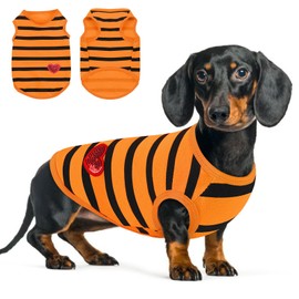 Queenmore Small Dog Shirt,Soft Breathable Dog Shirt for Dogs Cats Boy Girl,Pet Clothes for All Season,Breathable Lightweight Pet Tshirt for Frenchie, Dachshund, Yorkie