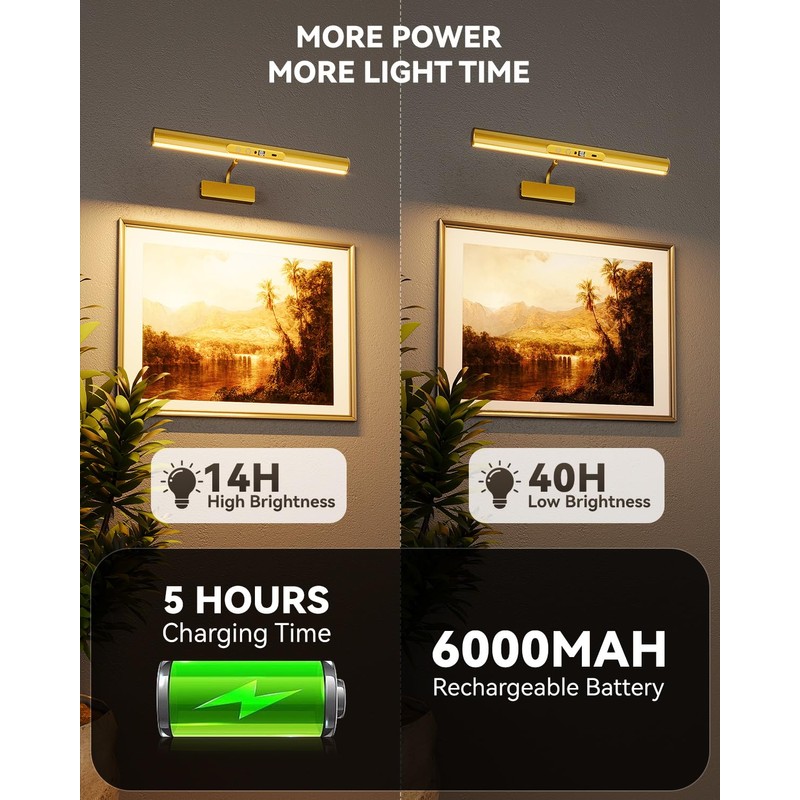 Skairipa 13" Rechargeable Picture Light for Wall with Remote, Gold