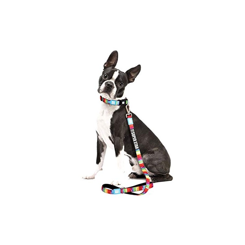 Max&Molly Dog Leash Slide Tag (Fits Medium and Large Leads)