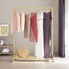 DR.IRON Gold Pipe Clothing Rack Garment Rack with Bottom Shelf