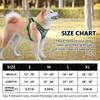 PoyPet No Pull Dog Harness with Neck Release Buckle, Reflective