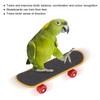4pcs Bird Training Toys Interactive Fun Basketball Skateboard Trolley Parrot